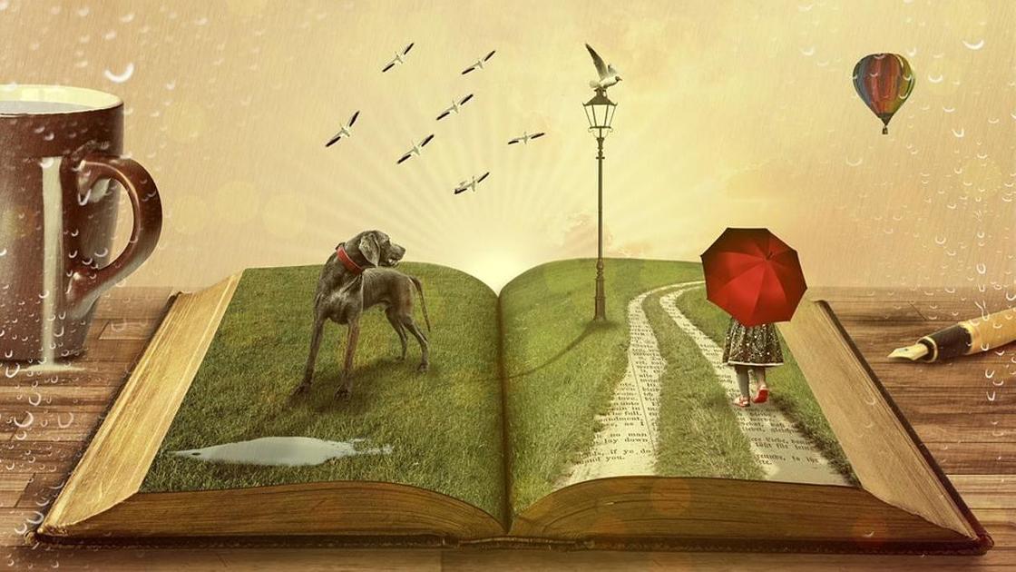 Книга Книга
